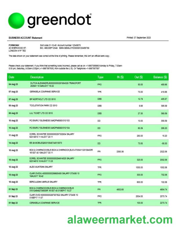 Green Dot Bank business checking account statement Word and PDF template